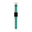 Apple Watch Series Bands 42-45 mm - Persian Green
